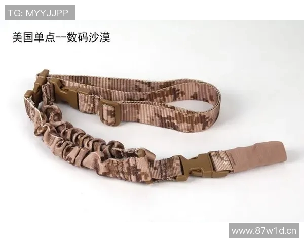 武汉极限运动队的战术控制体系与极限运动的创新实践探讨